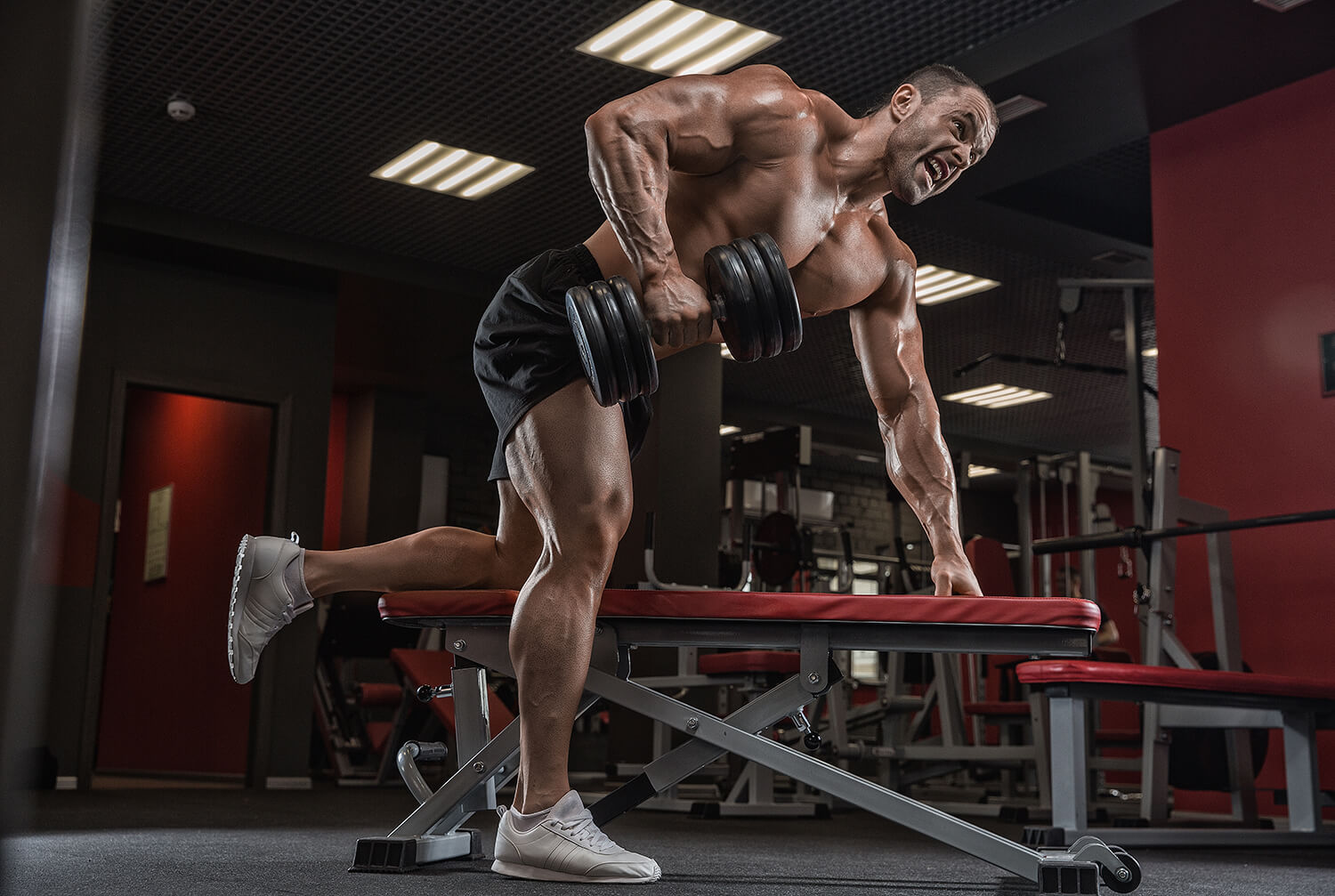 Testosterone: The Ultimate Guide to the Key Male Hormone