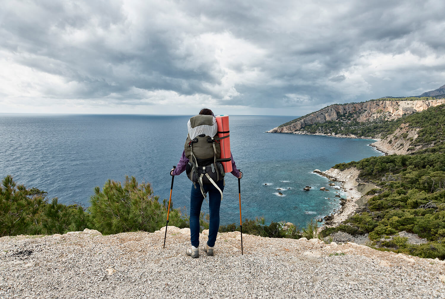 Unlocking the Nutrient Powerhouse: Colostrum Explained