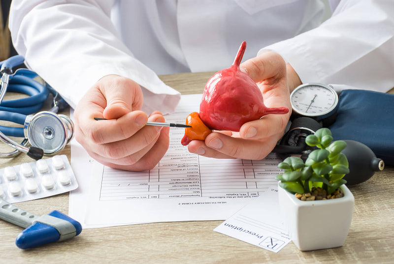 The Ultimate Guide to Prostate Health: Everything You Need to Know