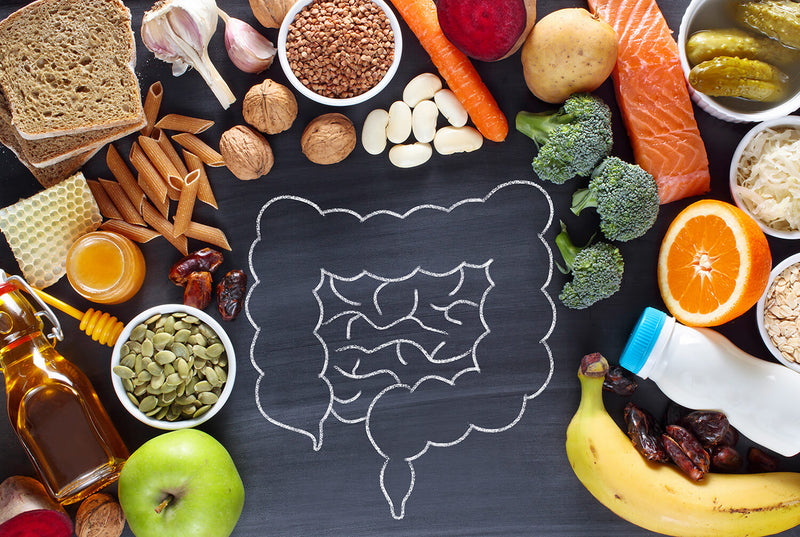 Probiotics for Digestion and Beyond