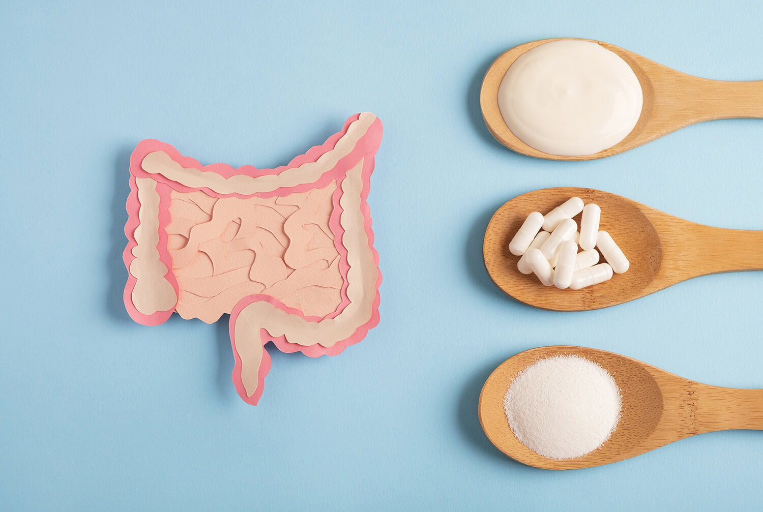 Probiotic Myths and Misconceptions: Debunking the Fiction