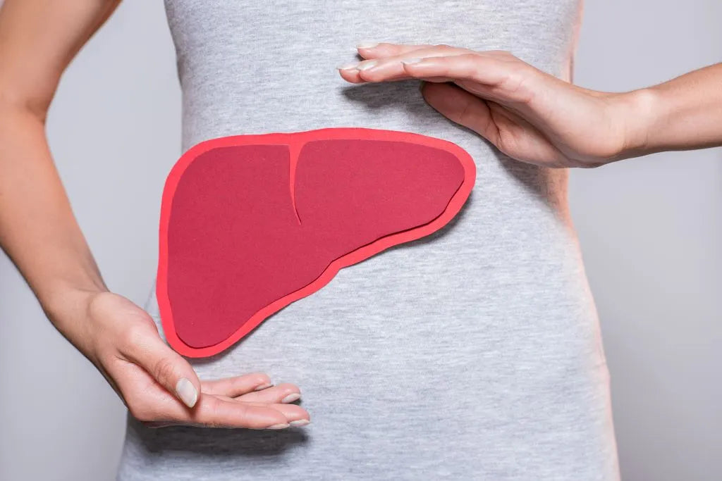woman framing a presentation of healthy liver with her hands