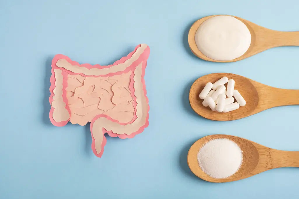 Probiotic Myths and Misconceptions: Debunking the Fiction