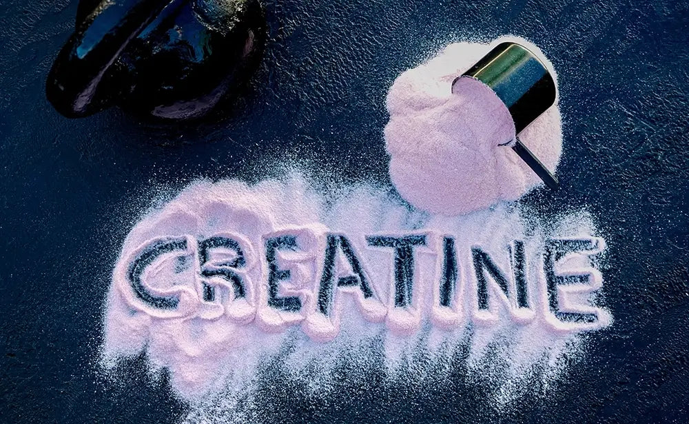 5 Must-Have Creatine Powders for Muscle Support and Brain Power ...