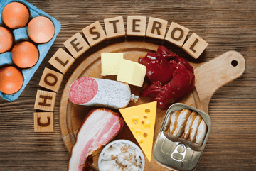What is Cholesterol?  The Good and The Bad